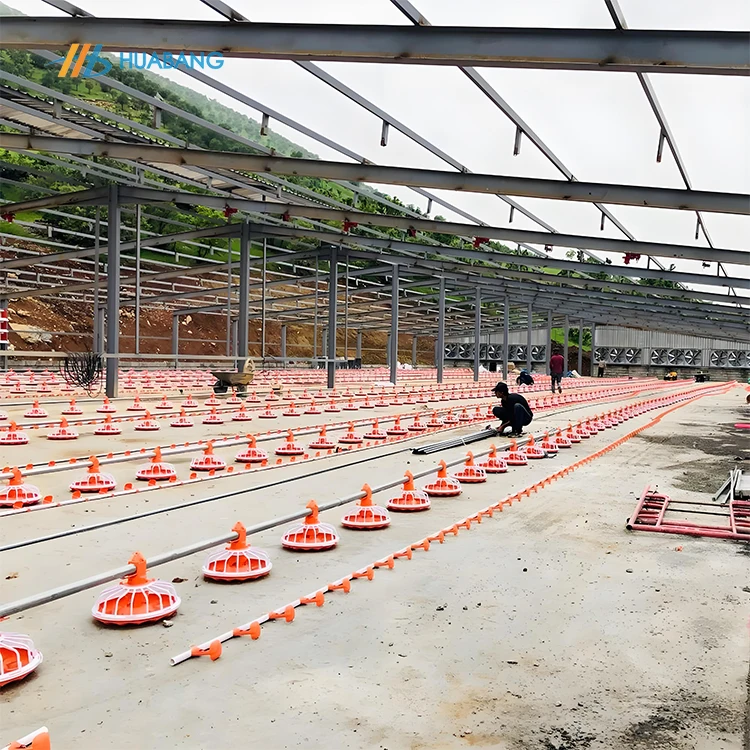 

Automatic Poultry Livestock Equipment Broiler Chain Feeding Drinking System for Broilers