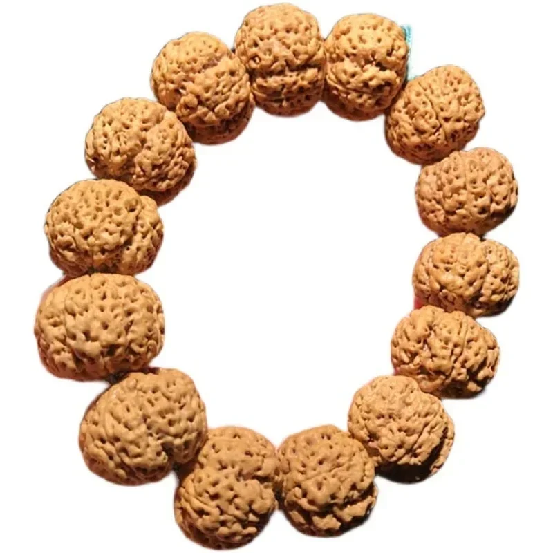 Graduated Nepalese 5-star Queen Bee Double Dragons Giant Meat Five-petal Six-petal Large Vajra Bodhi Seed Hand String