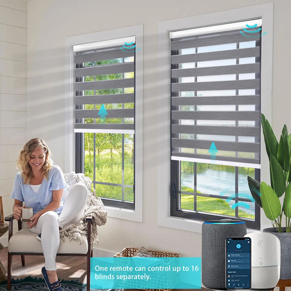 Motorized Zebra Blinds Smart Roller Shades Day and Night Window Shades, Work with Google Home, Alexa Control