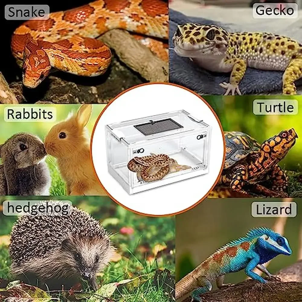 Large Snake Habitat Cage Tank Reptiles Gecko Lizard Frog Hamster Foldable Rearing Box Design Easy Mobility Escape-Proof Door