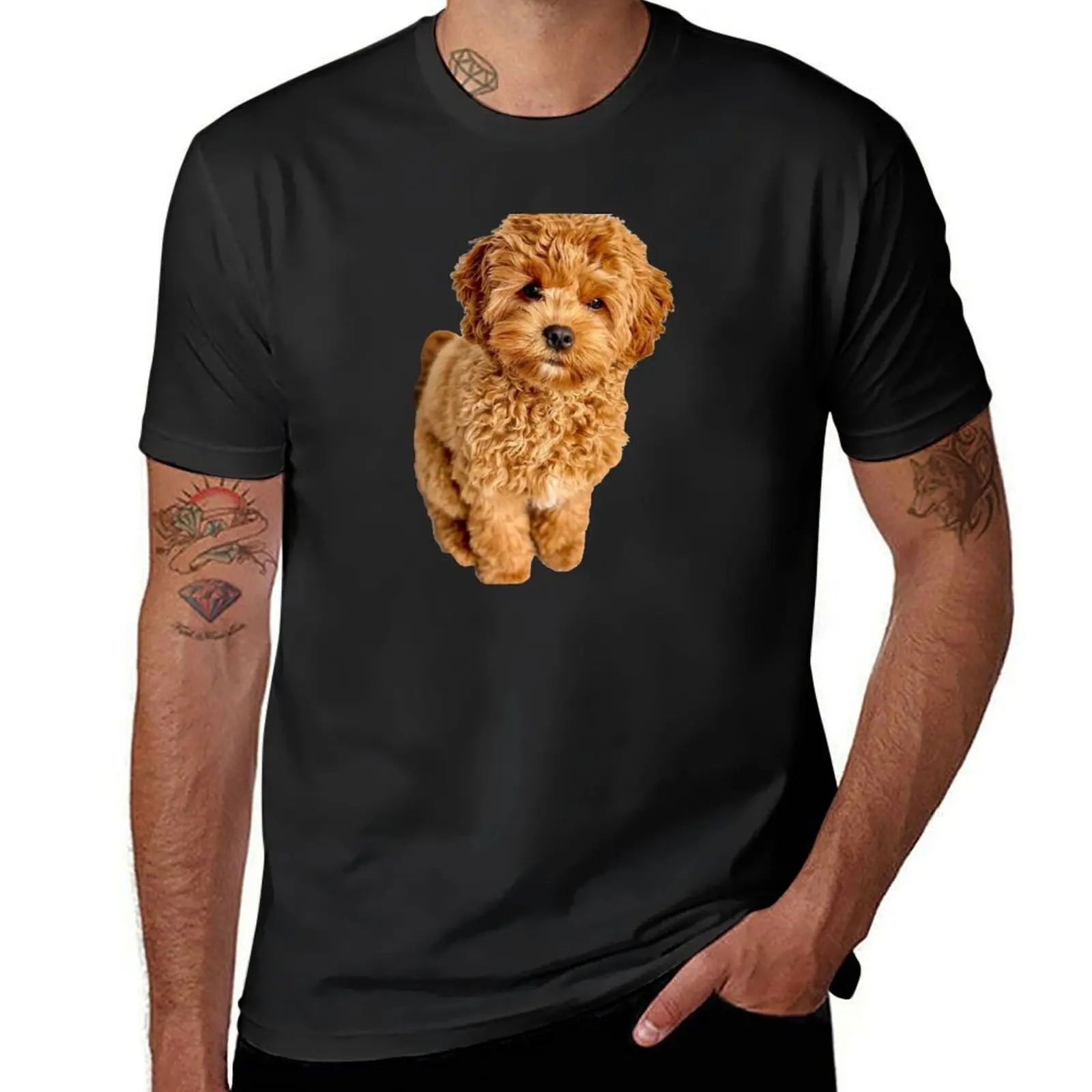 Cavapoo T-Shirt boys whites hippie clothes quick drying men clothing