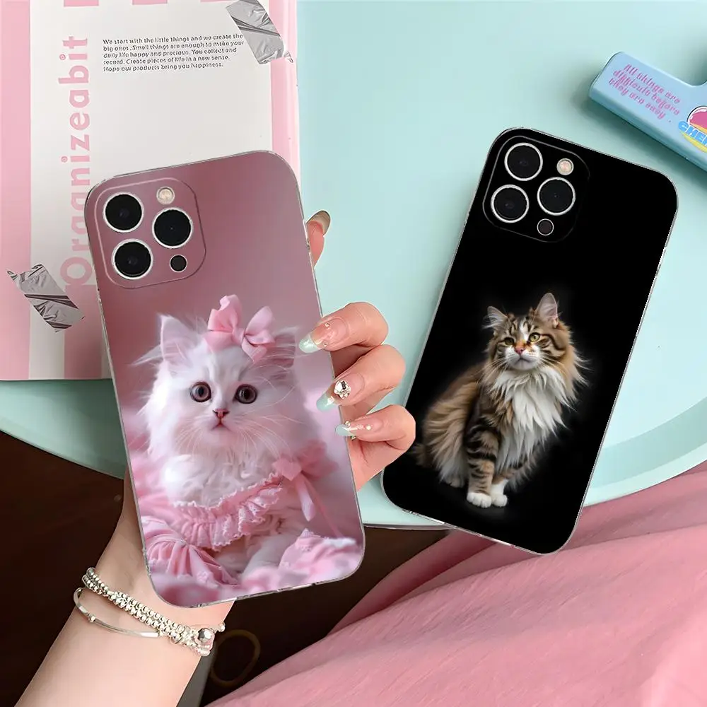 

Kitten Cute Cat Kawaii Phone Case for iPhone 16 15 14 13 12 11 X XR XS 8 6 Pro Max Plus Mini Clear Colour Printing Cover Luxury