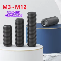 12.9 Black Fine Thread Set Screw With Concave End M3 M4 M5 M6 M8 M10 M12 Set Screw Without Head