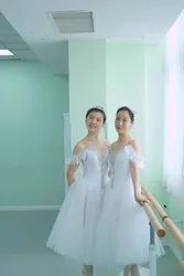 Robe de ballet professionnelle pour adultes, jupe PengPeng, jupe blanche, longue voile, robe de fée, spectacle de jeu, 303, 2023