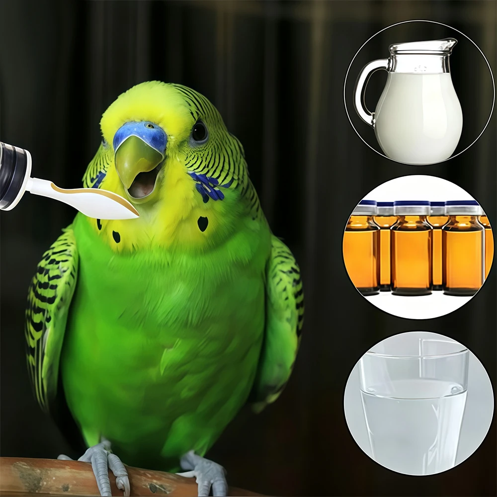 10/6/3pcs Bird Feeding Spoon p - Baby Food For 6 Months review and price