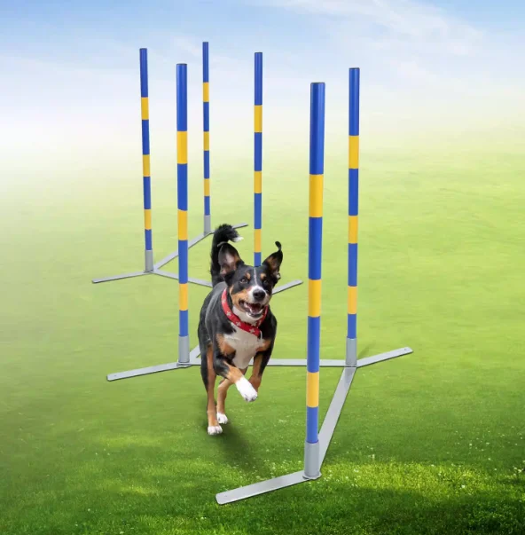 

Pet Dog Agility Weave Pole Dog Training Slalom Jump Hurdle