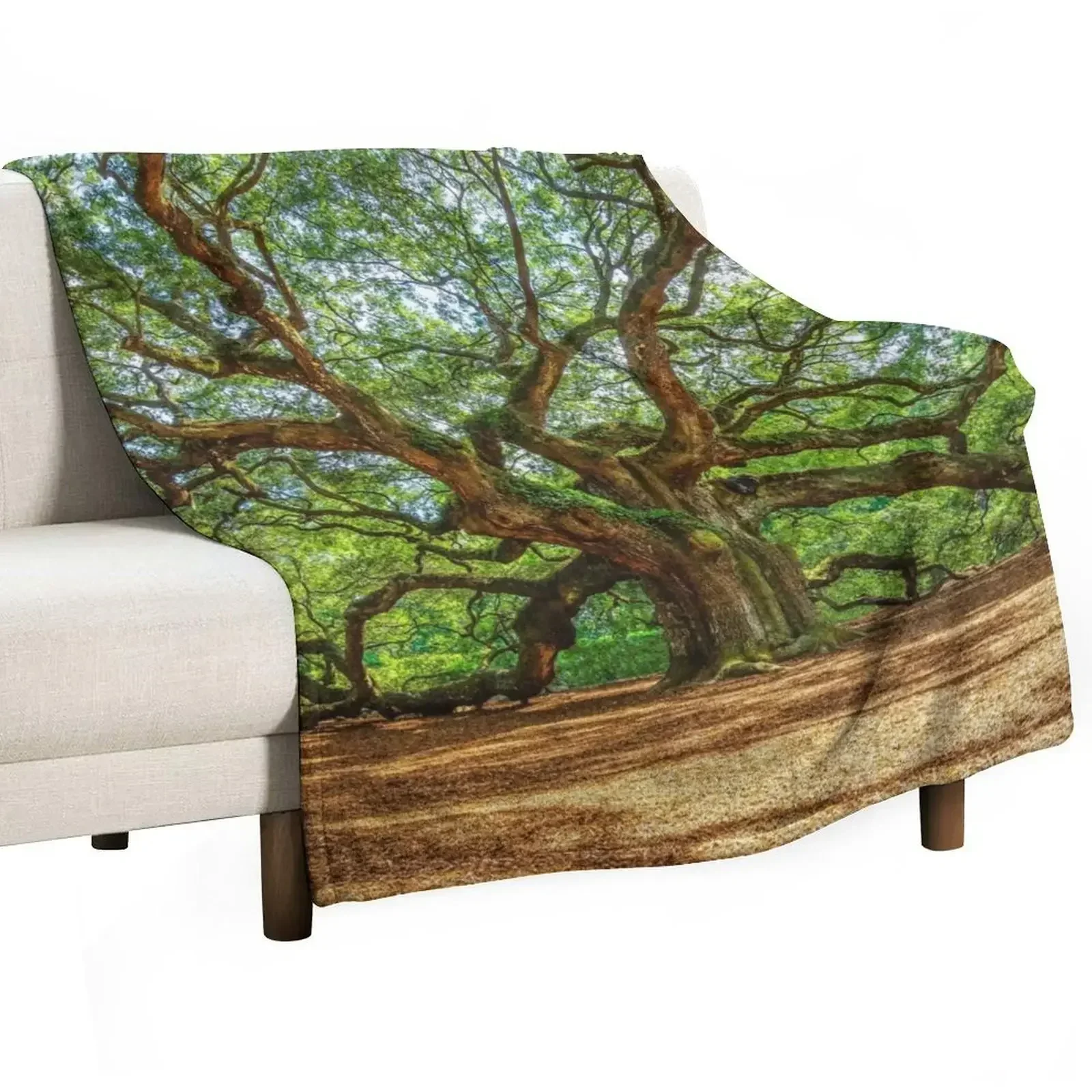 Angel Oak - Ancient Tree on Johns Island South Carolina Throw Blanket Personalized Gift Decorative Sofa Blankets