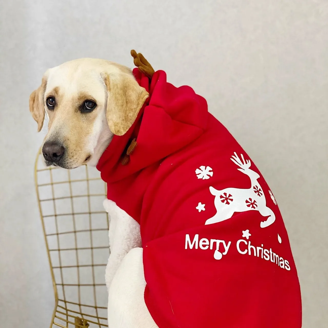 2025 Christmas Dog Clothes Hoodies Fleece Warm Sweatshirt Small Medium Large Dogs Jacket Clothing Pet Costume Dogs Clothes