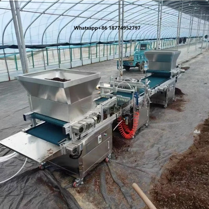 Fully Automatic High Productivity Tray Seedling Maize Seeds Planting Machine Planter Corn Seeder