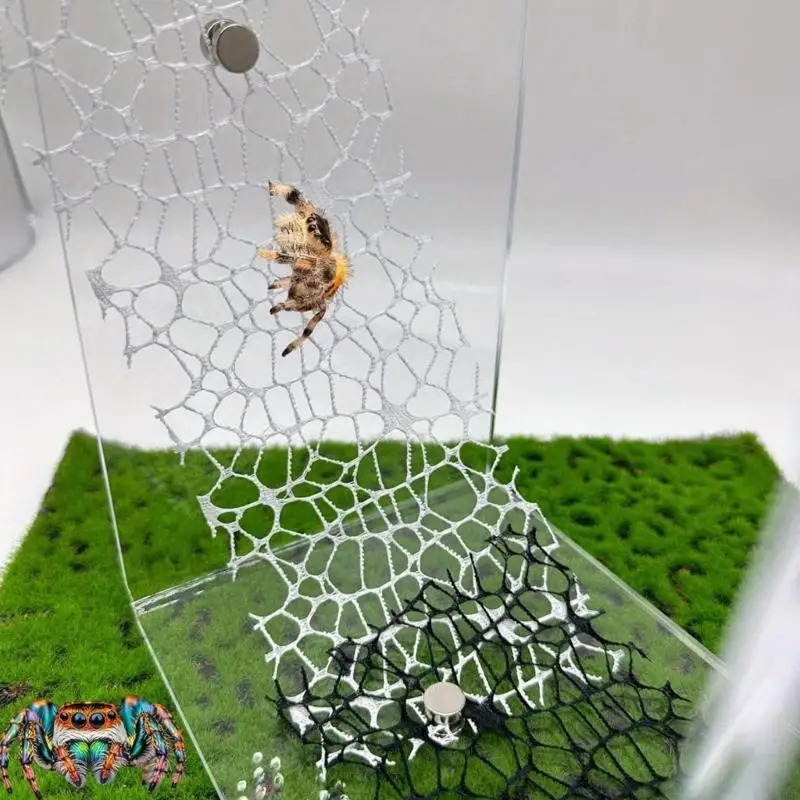 6PCS Springende Spinnen Lebensraum Zubehör Magnetische Spinnen Web Dekorationen für Spinnen Klettern und Verstecken B03E – Detail 7