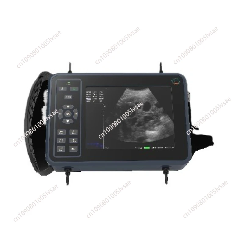 

Ультразвуковой сканер, ветеринарное тестирование беременности для крупного рогатого скота, коров, свиней, овцы, лошади, фермы, животных, домашних животных, портативный