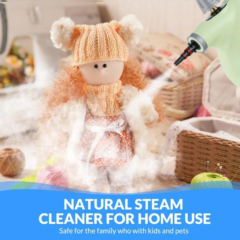 Handheld Pressurized Steam Cleaner, 12pcs Accessories, Portable Steamer for Home, Car, Furniture, Floor, Upholstery, Grout & Tile