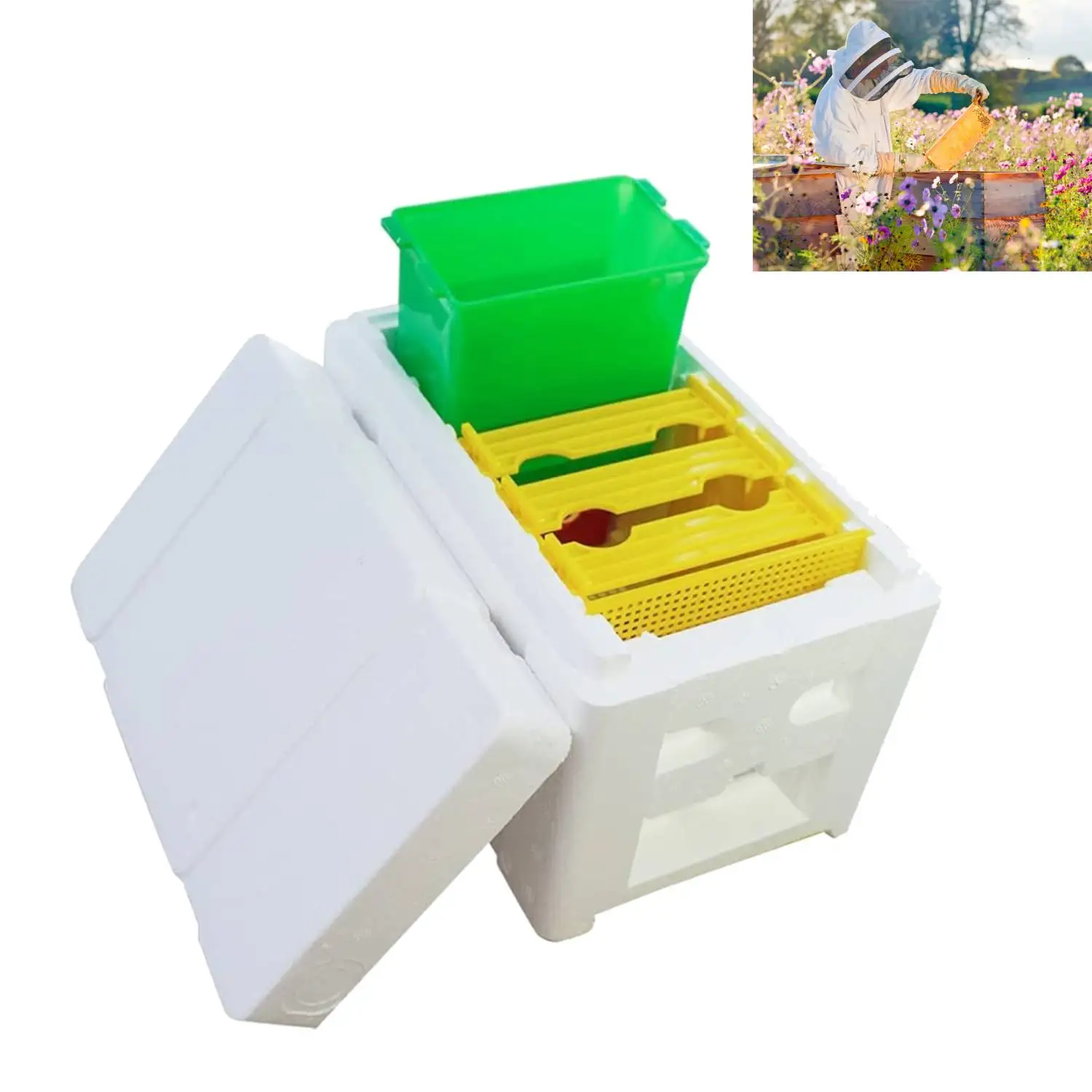 1 Set Queen Bee Mat…