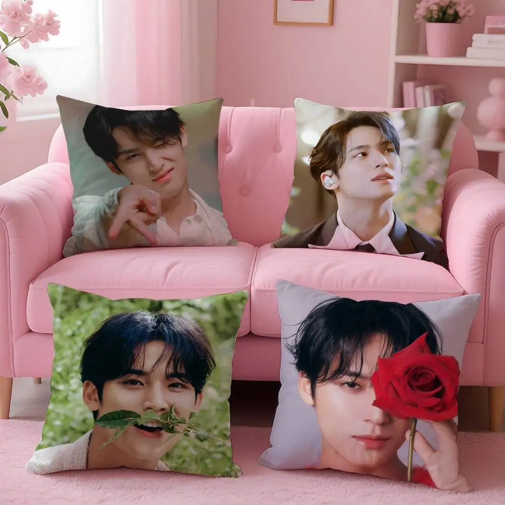Singer M-Mingyu Pillow Case Anti-dustmite Invisible zipper S