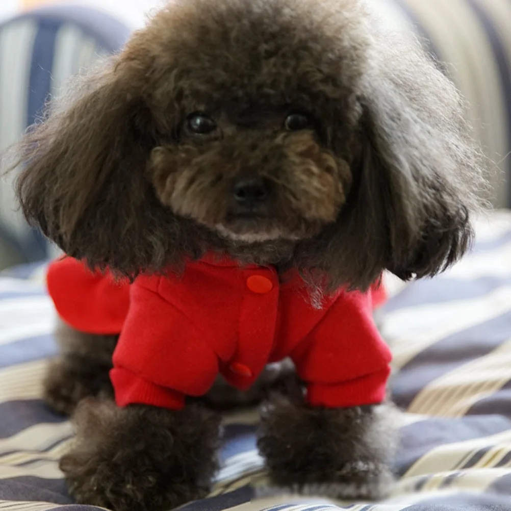 

PRETYZOOM Maltipoo Clothes Small Dog Christmas Dress Puppy Outfit for Cats Warm Santa Shirt