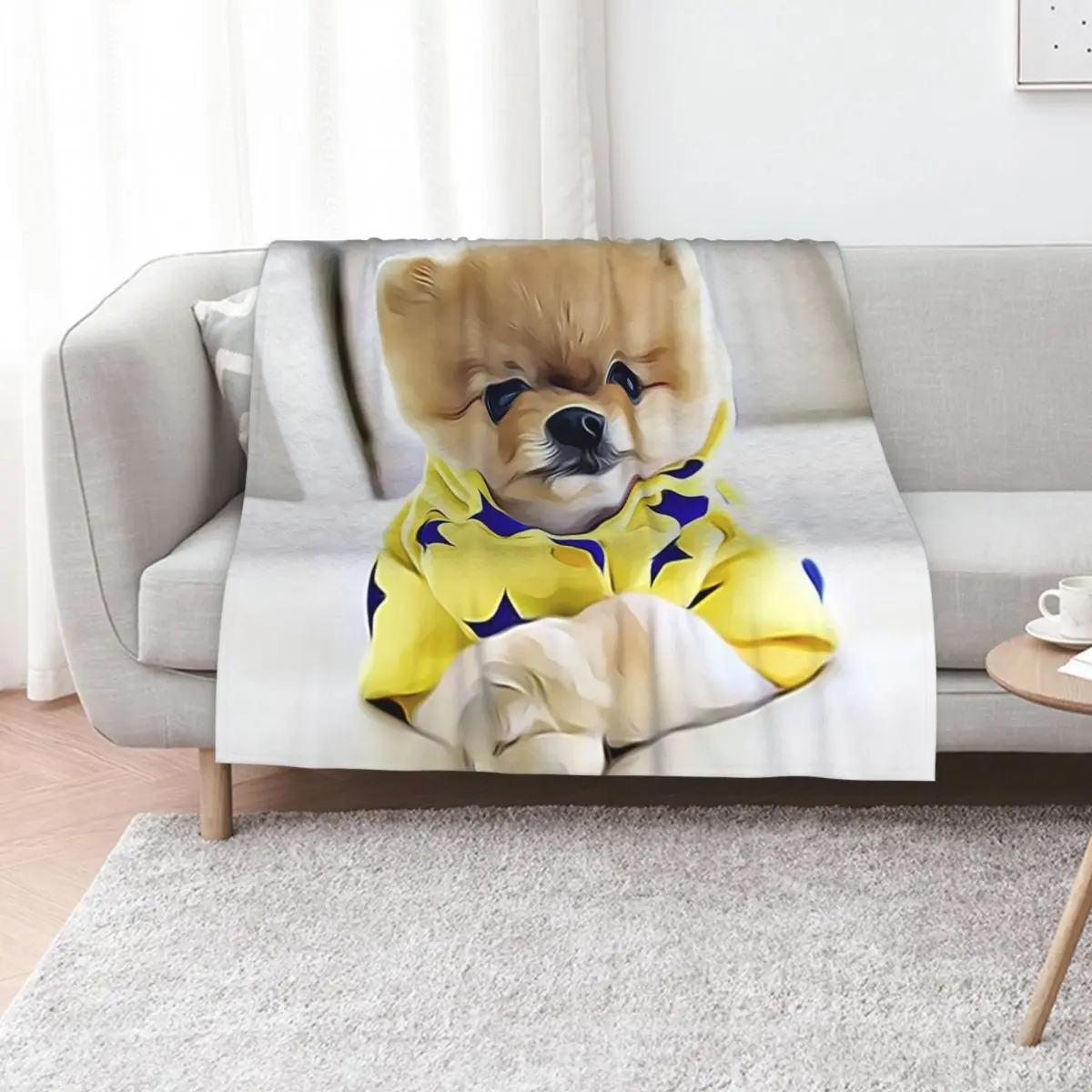 Pomeranian Wearing Pajamas Throw Blanket Polar Thins Hairy Luxury funny gift Plush Blankets