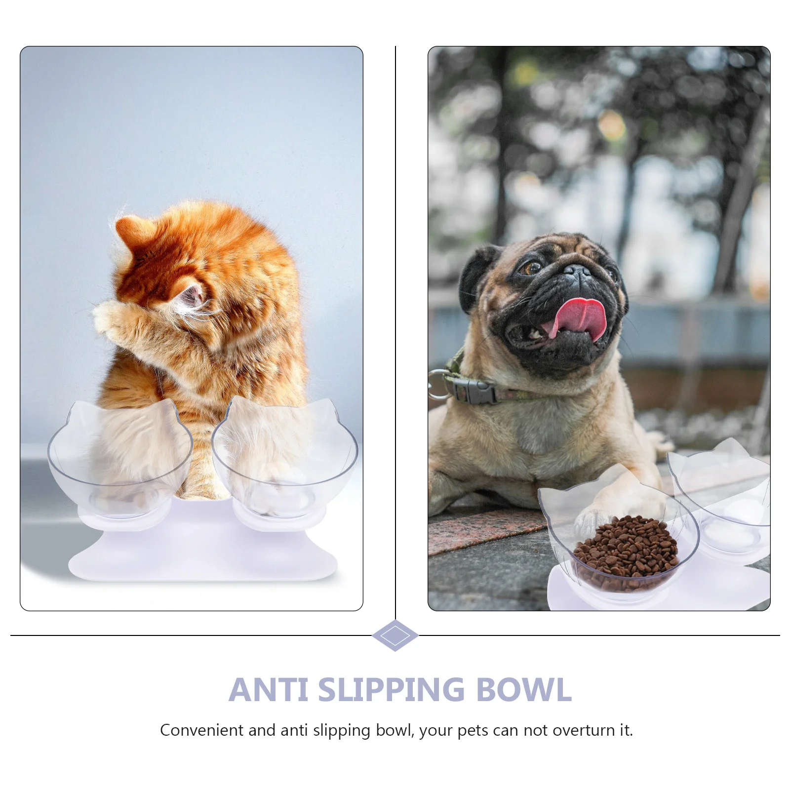 

1Set Anti-Slip Oblique Mouth Pet Feeding Bowl Cat Dog Water Feeder High Base Transparent Double Container Pet Dish