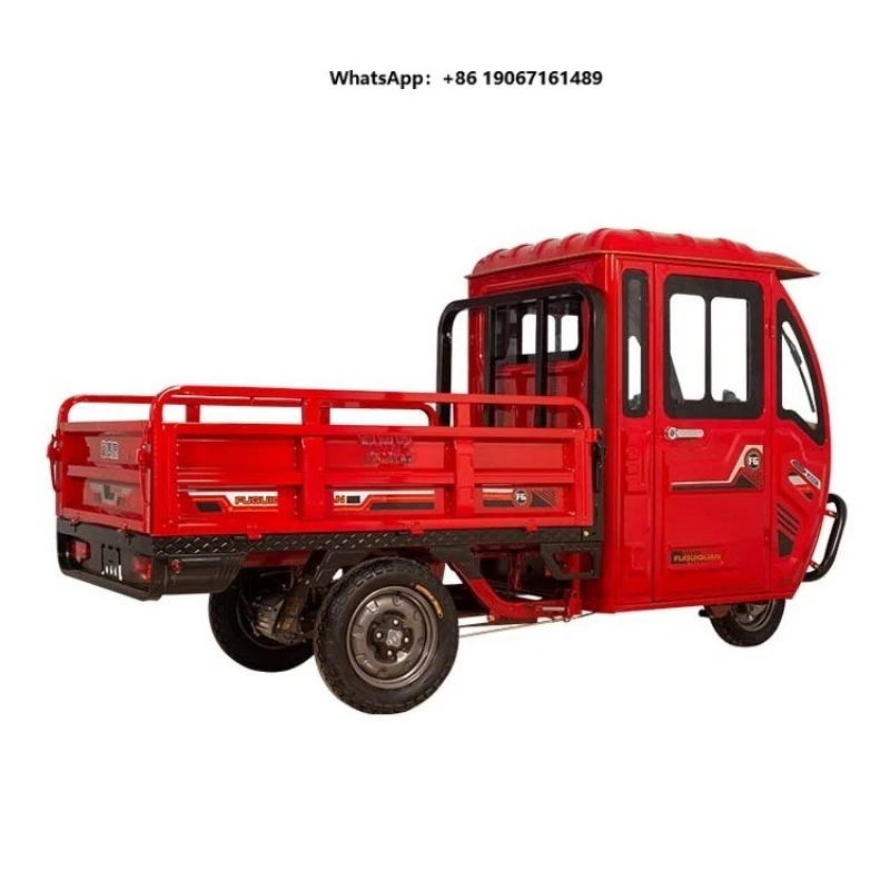 Steel Tire Three Wheel Cargo Electric Tricycle with Closed Cabin