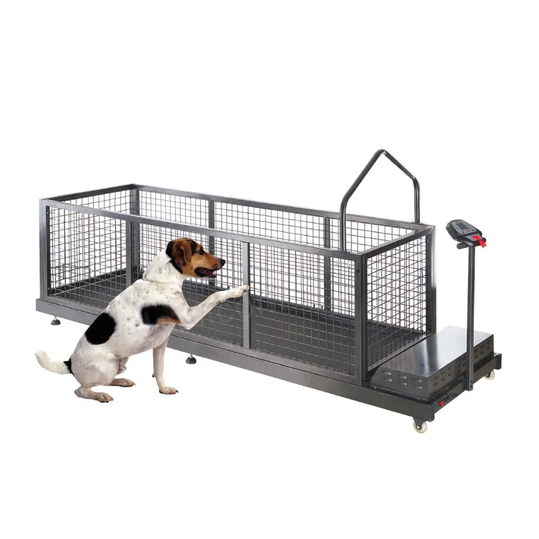 

Wholesale Indoor Use Animal Running Machine PetsTraining Equipment Dog Treadmill