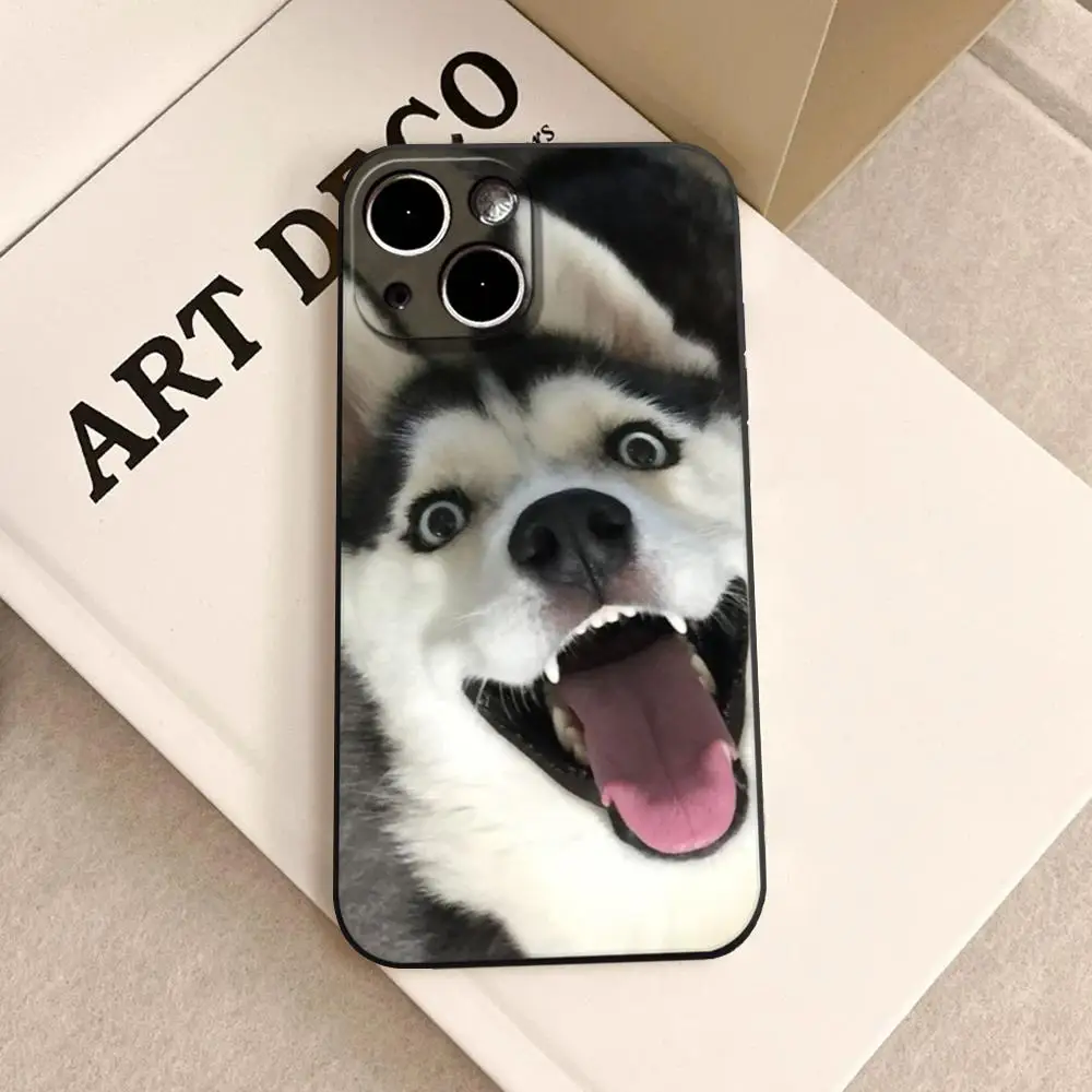

Alaskan Husky Dog Cute Puppy Luxury Phone Case For iPhone17 16 13 15 14 12 11 Pro MAX XR X 7 8 Plus Silicone Black Matte Cover