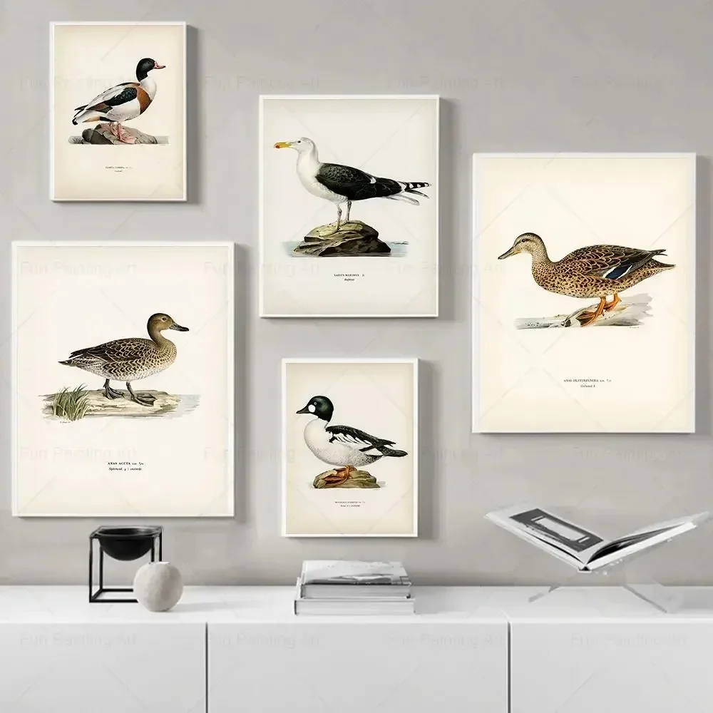 Vintage Duck Prints Rustic Mallard Duck Birds Lake Wall Art Poster Retro Nature Canvas Painting Pictures Farmhouse Room Decor