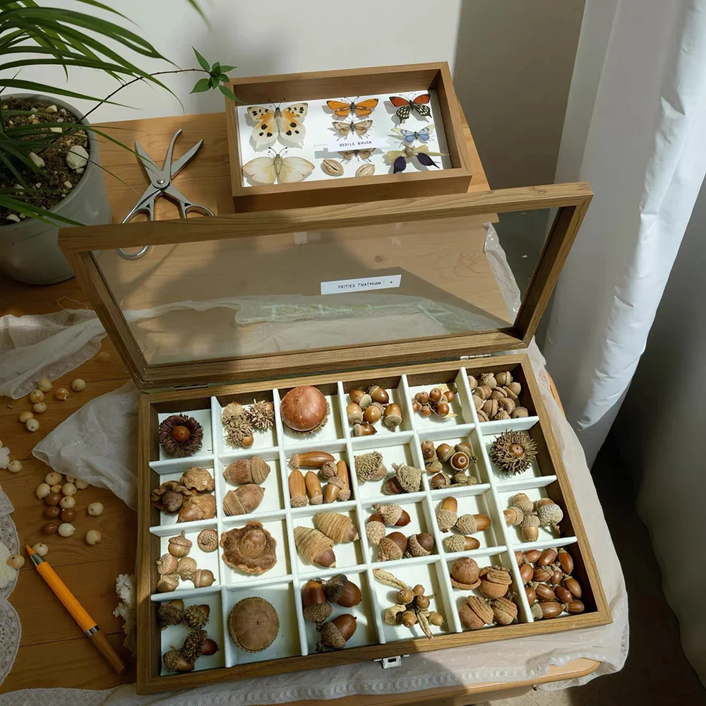 Wooden Specimen Display Box 18/24/30 Grids Optional Glass Lid Natural Storage Case Desktop Ornament for Small Collectibles