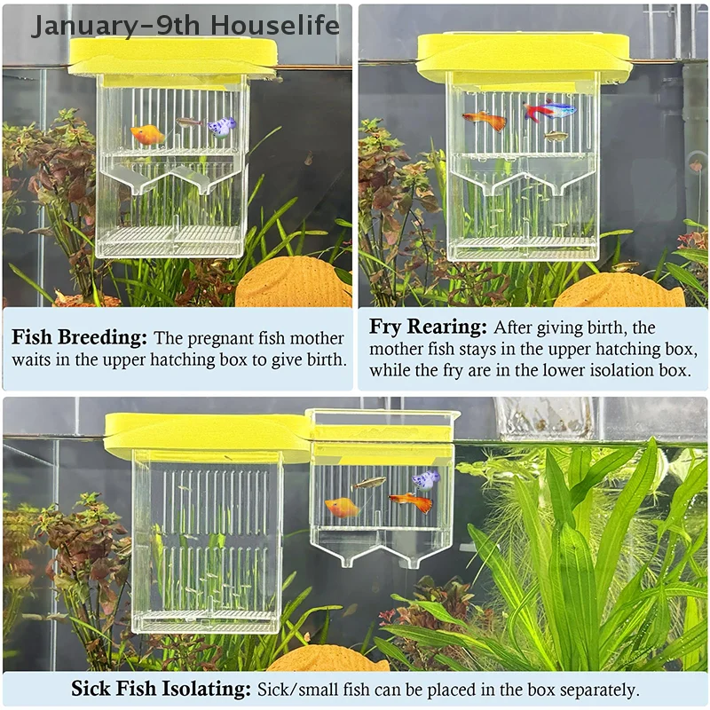 

Аксессуар для разведения аквариумов, плавающая конструкция с инкубационной коробкой и изоляционным ящиком для аквариума