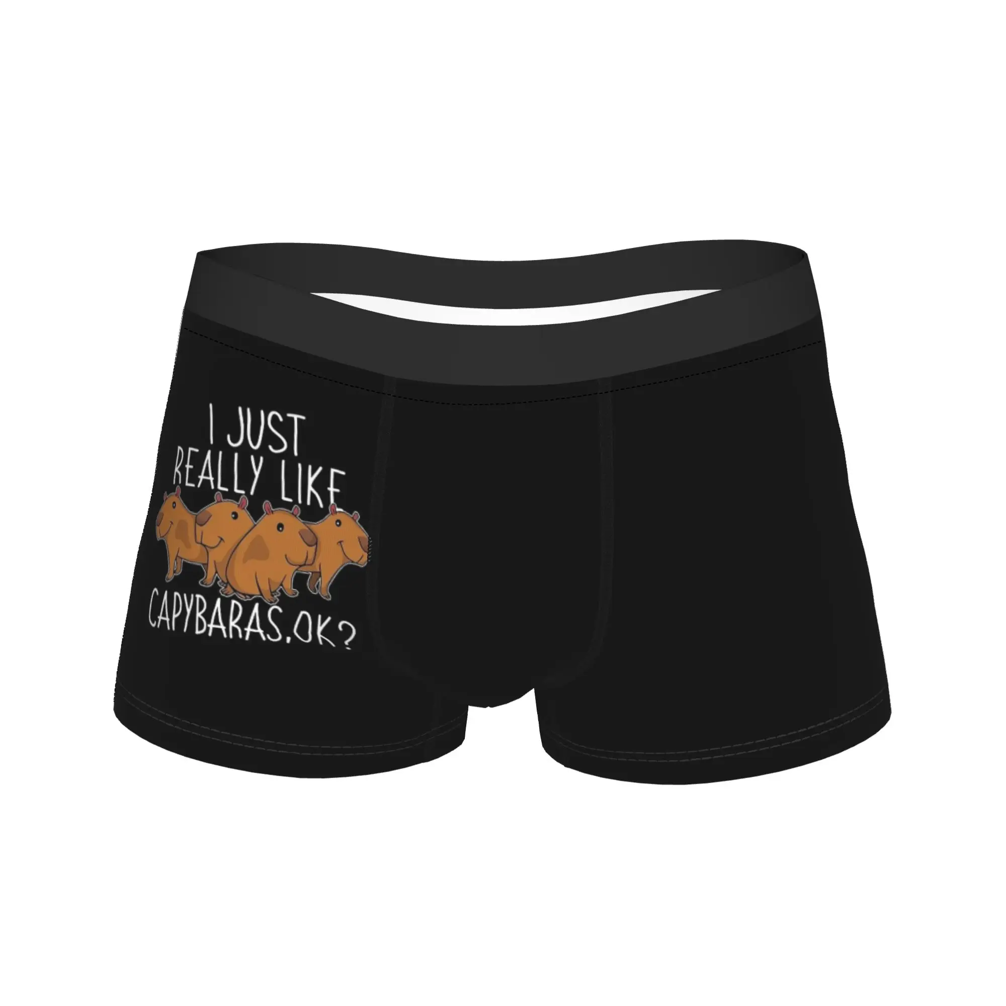 

Kawaii Capybara Underwear Male Boxer Brief Comfortable Boxer Shorts Quality Print Plus Size Panties
