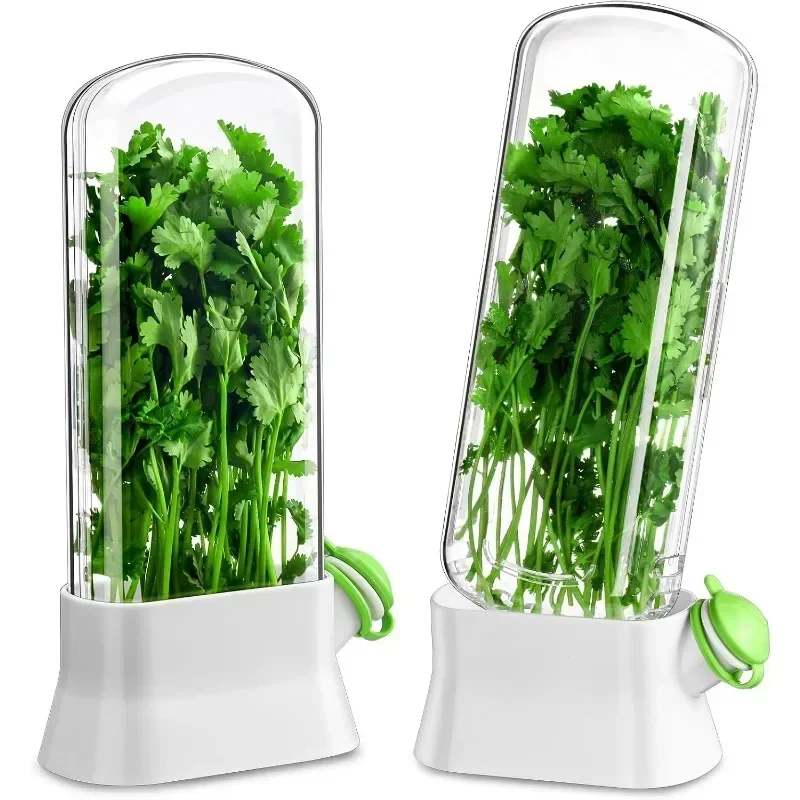 

Herb Keeper for Refrigerator Premium Herb Saver,Keep Cilantro Fresh,Versatile Herb Keeper for Prolonging Freshness of All Herbs