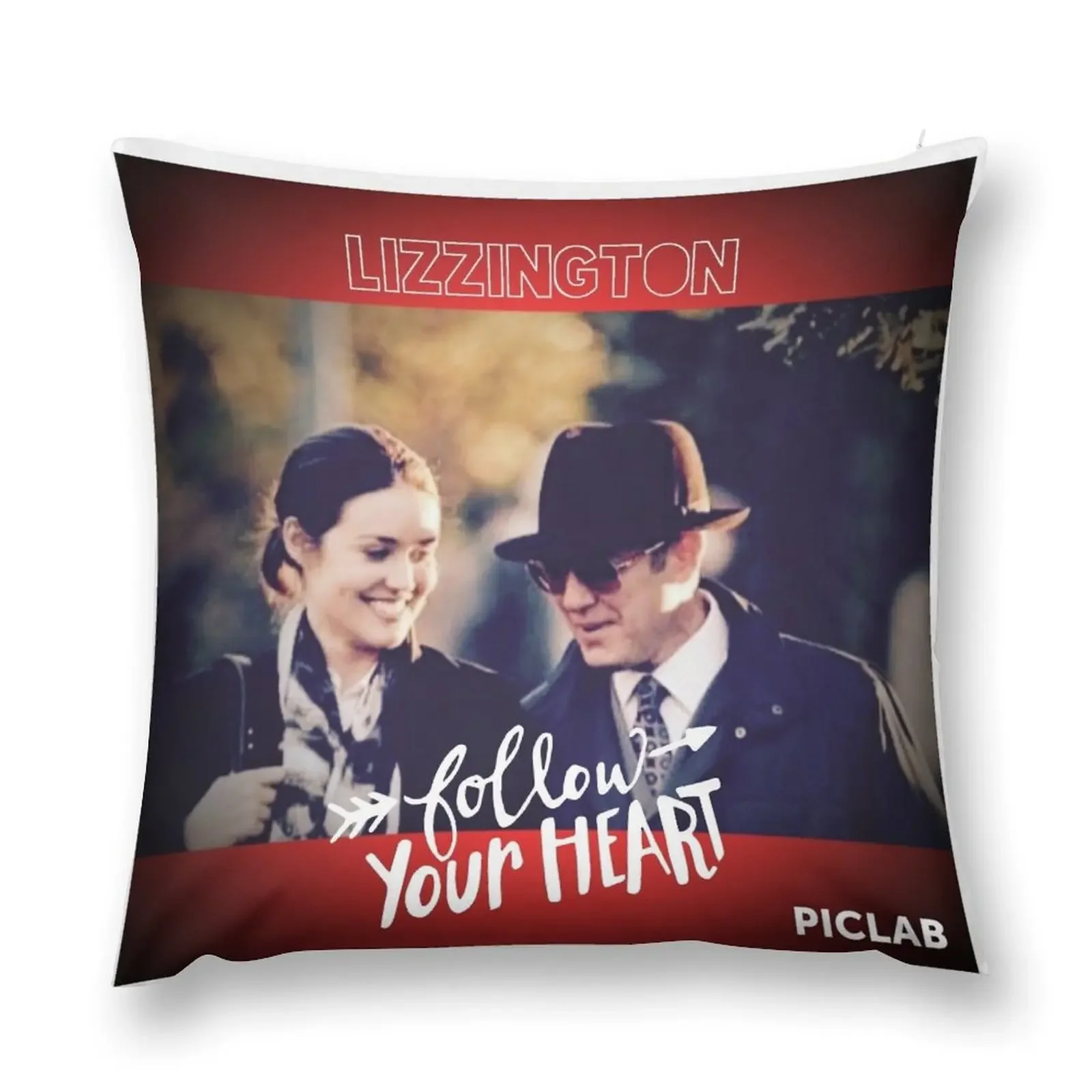 Follow Your Heart Throw Pillow Couch Pillows Pillow Cover pillow