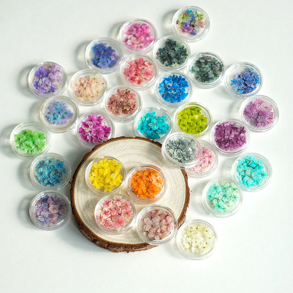 

dried flowers, natural plants, pressed flowers, dried flowers, wearing nail art, real flowers，Artistic mini nail art,