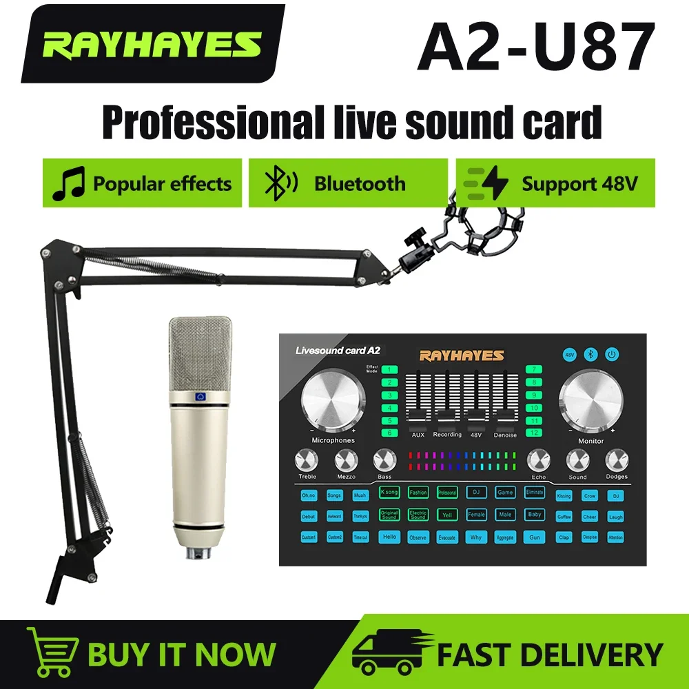 

Звуковая карта RAYHAYES A2 U87, набор конденсаторных микрофонов, кардиоидный микрофон, студийное записывающее оборудование для прямой трансляции, пения