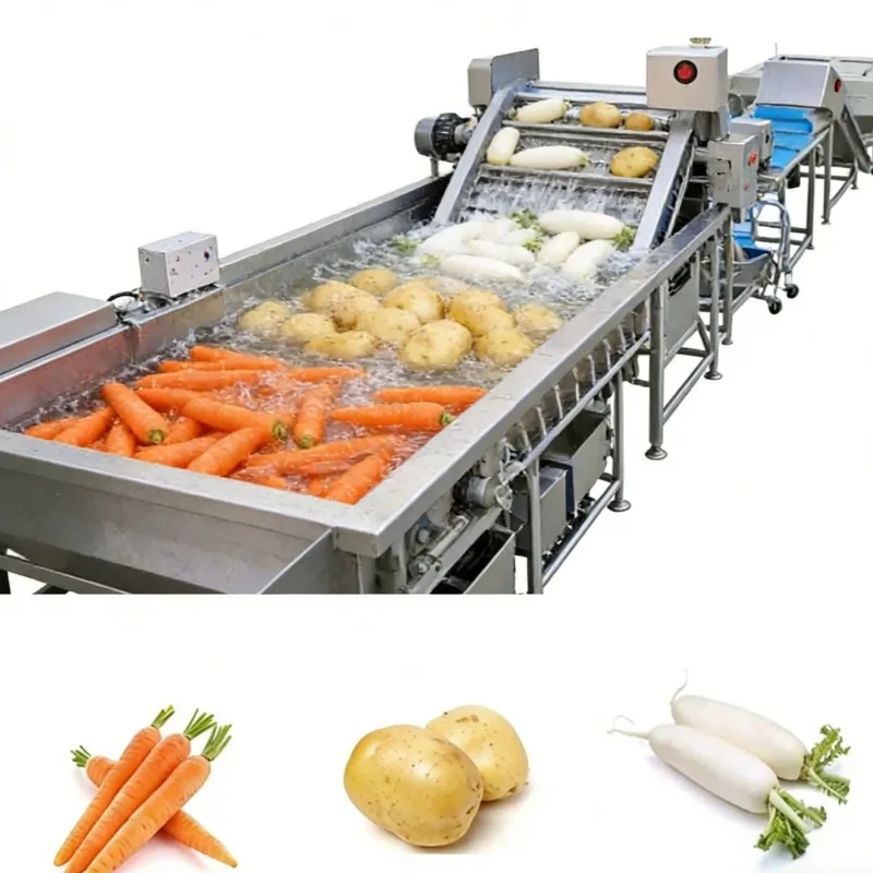 Medium-sized commercial brush roller cleaning machine, fruit and vegetable processing brush washing equipment