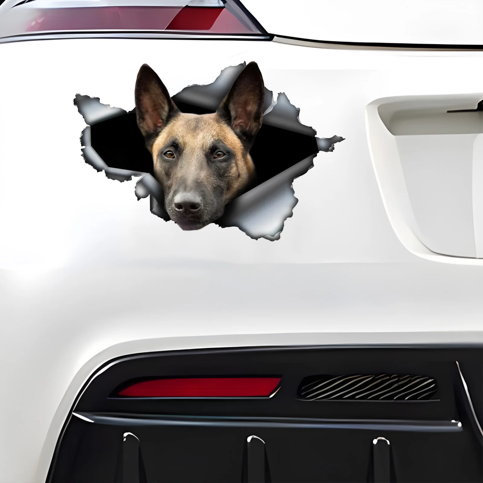 

DK476# Belgian Malinois 3D Break the Wall Car Sticker, Waterproof Vinyl Material Accessories, Interesting For Cars, Trucks, Moto