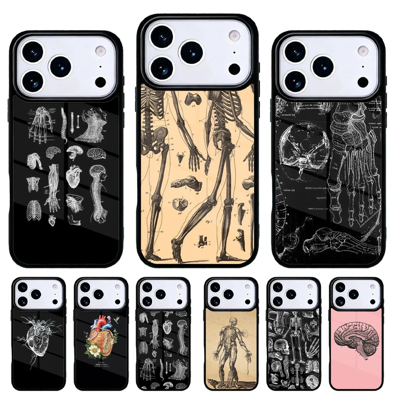 Funda iPhone anatomía humana – 17 Air 16e 15 14 13 Pro Max