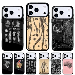 Funda iPhone anatomía humana – 17 Air 16e 15 14 13 Pro Max