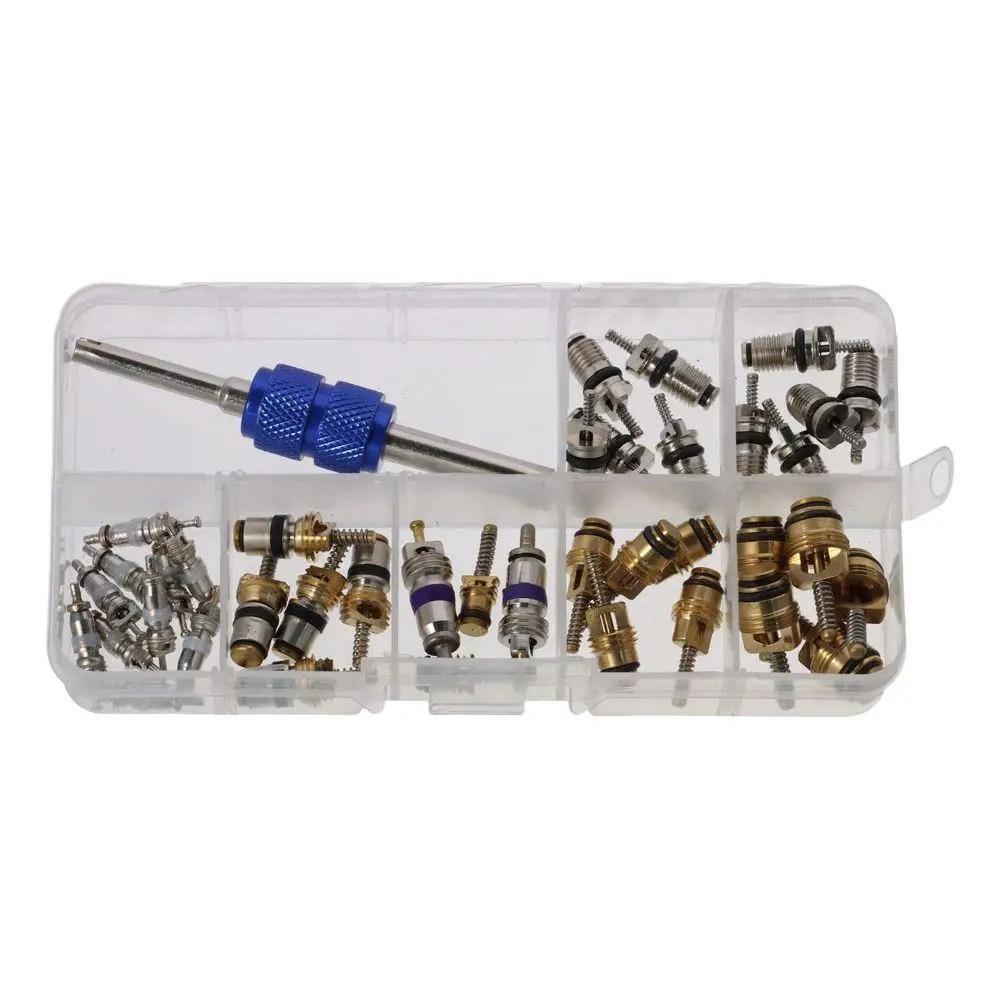 

1 коробка деталей для оценки автомобиля R12 Автомобильный R134a Холодильный сердечник клапана для автомобиля