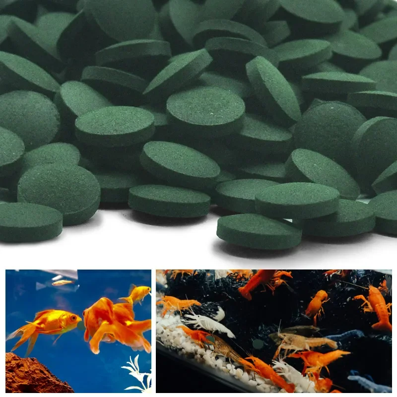 100pcs High Purity Spirulina Tablets Spiral Seaweed Enrichment Favorite Pets Food Fish Crystal Red Shrimp Fish Food Aquarium