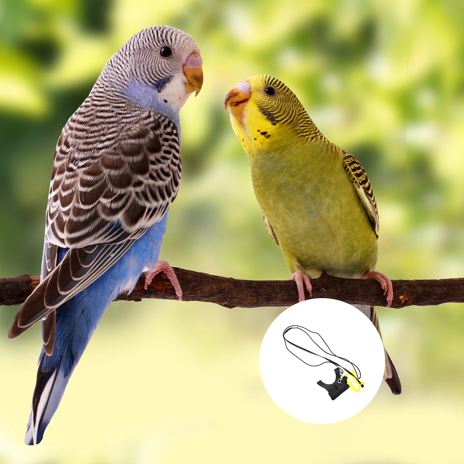 

Parrot Flight Vest Bird Leash Harness Cage Accessories Adjustable Outdoor Toy Safe Durable Easy Use Prevent Escape