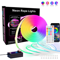 DC24V RGB LED Neon Strip Light Bluetooth APP Remote Control Music Sync 3535 RGB 10m 30m Waterproof LED Lights Decor with Plug