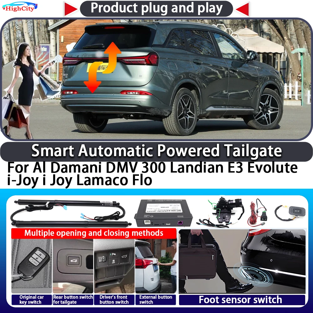 For Al Damani Dmv 3… - image