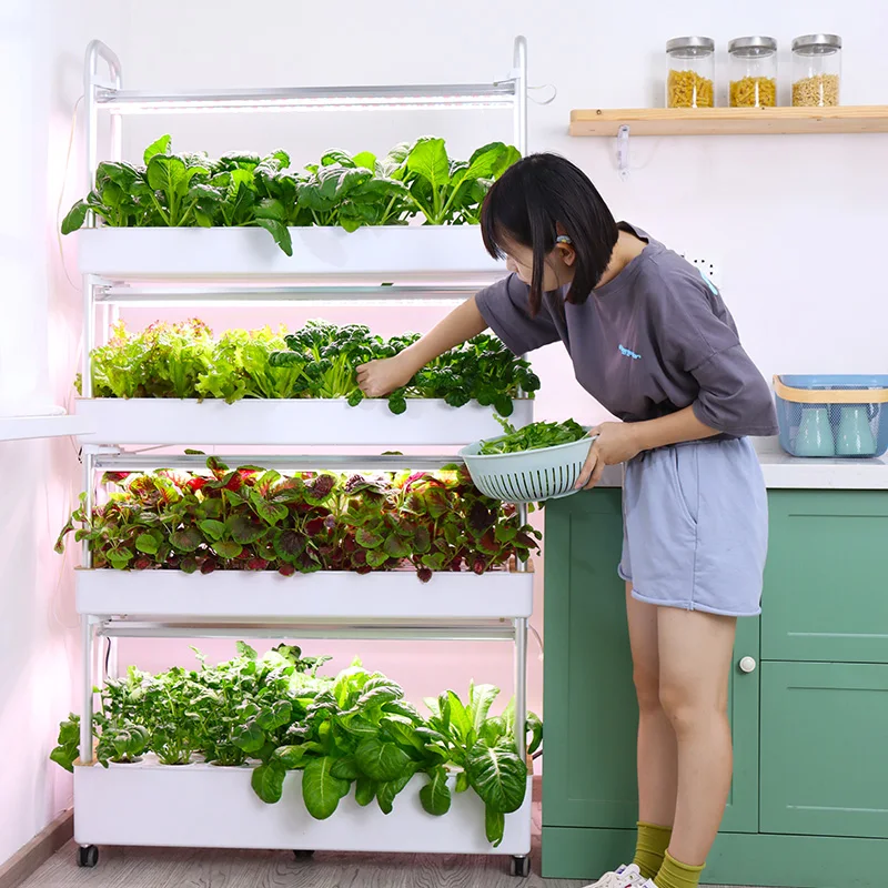 

Household 4 Layers 120 Hole, Removable Light Emitting Diode Light, Vertical Lettuce Hydroponic Vegetable Growing Rack System