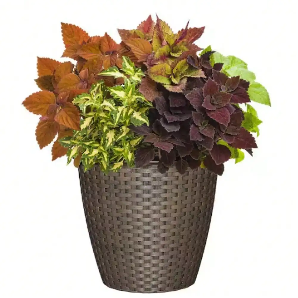 

Plant Pots, Resin Planter. Sturdy resin construction ensures durability. Features drainage holes for reliable outdoor use.