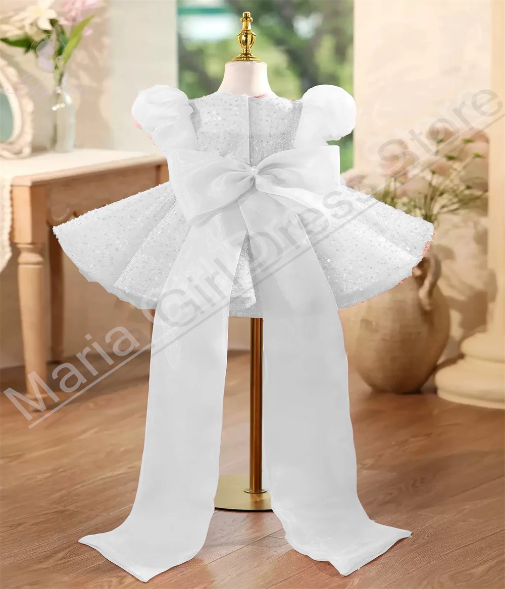 Flower Girl Dress Sequin Beauty Pageant Puff Short Sleeves Children Wedding Event Photography Performance Dress