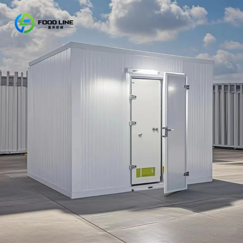 Chambre de stockage au froid de petite taille personnalisée Chambre froide réfrigérée pour la viande et les fruits de mer