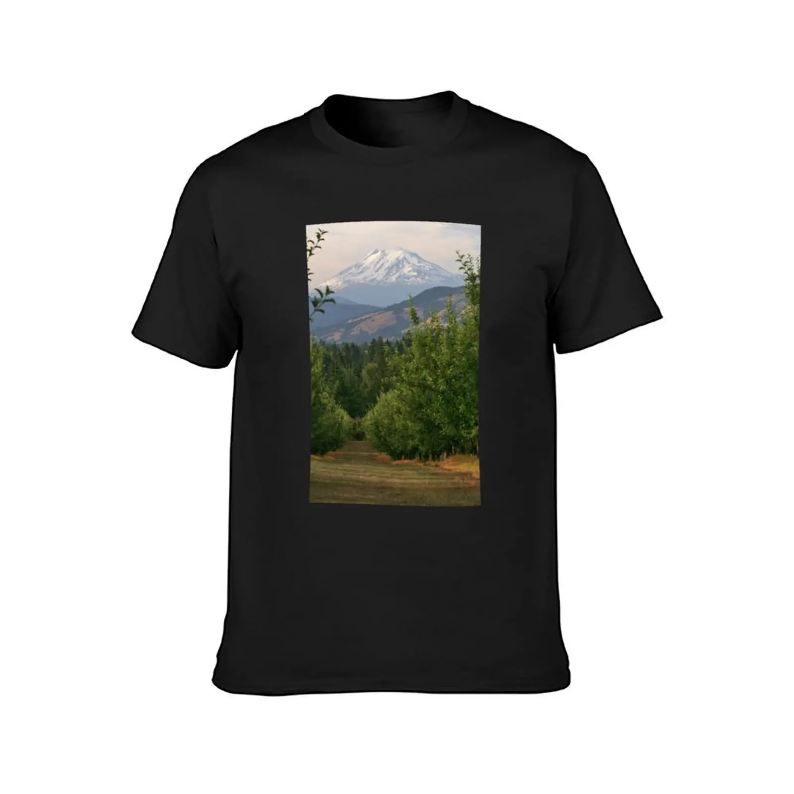 Mt Adams T-shirt graphics summer clothes blanks men t shirts