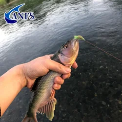 ANFS 5 señuelos de pesca con mosca de saltamontes, cebos artificiales para insectos para trucha, perca y azulegill, moscas húmedas, regalo de pesca para pescador