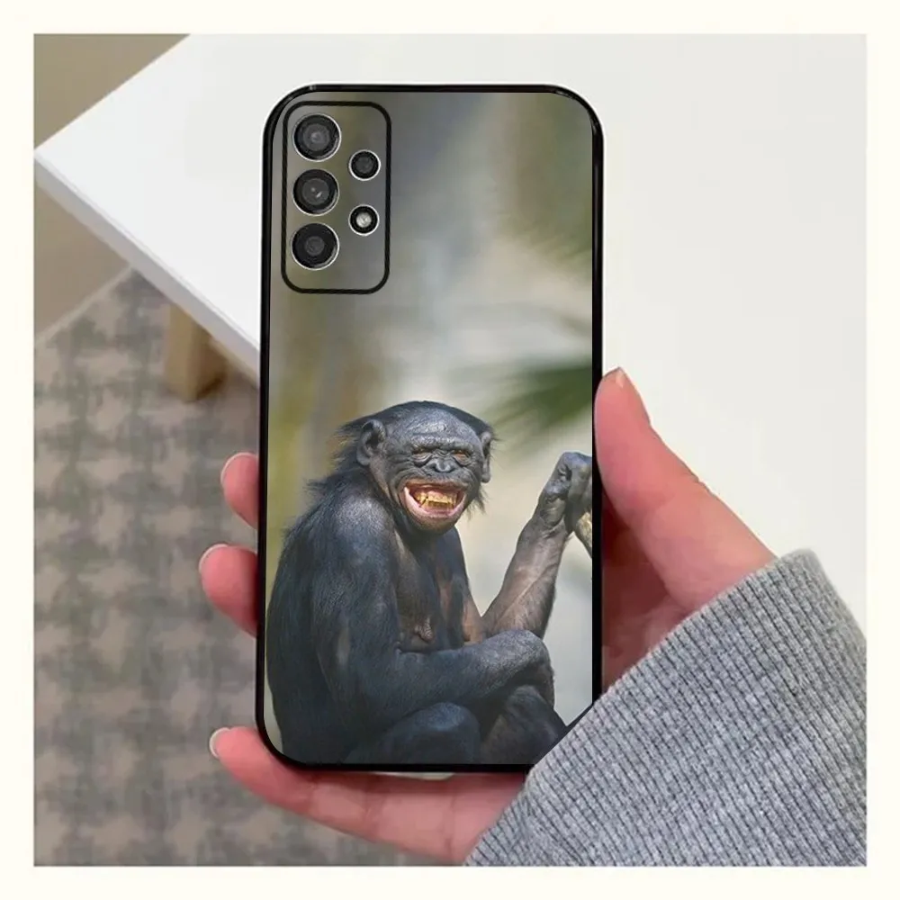 Monkey Gorilla Orangutan Funny Phone Case For Samsung Galaxy A13,A21s,A22,A31,A32,A52,A53,A71,A80,A91 Soft Black Shell