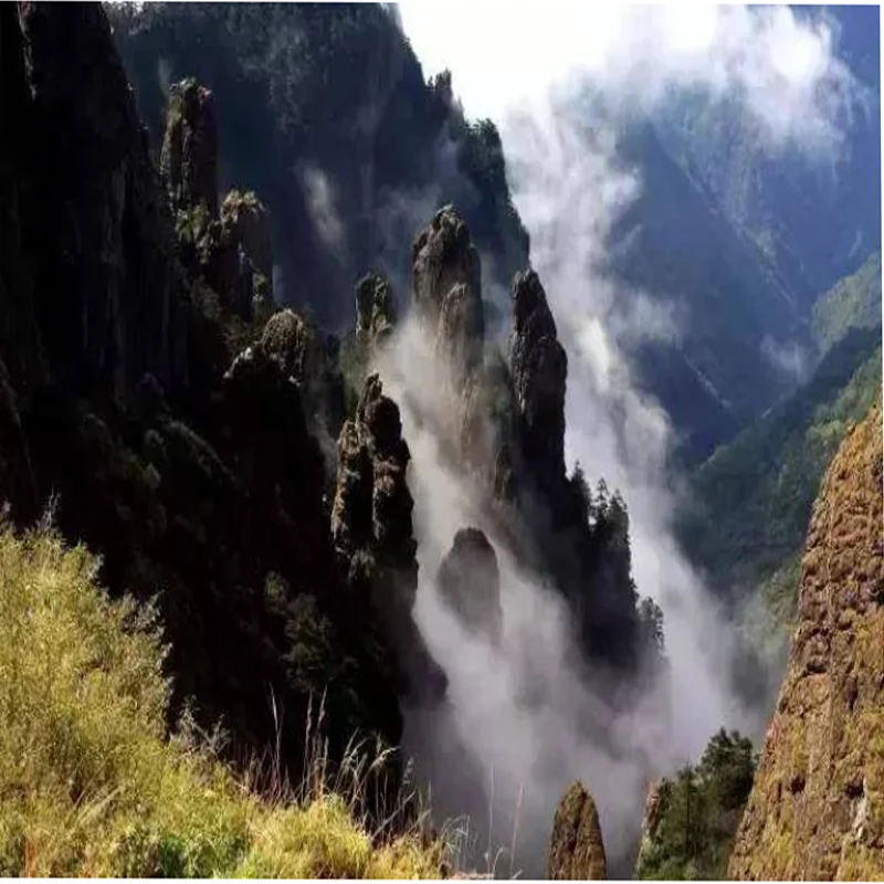 

JX Servo PDI-HV7223MG 8.4V 23KG High Precision Metal Gear Full CNC Aluminium Shell HV Digital Coreless Standard Servo For RC Car