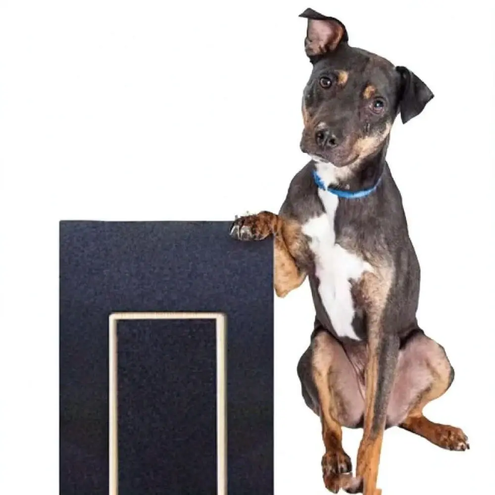 Pet Nail Scratching Pad Solid Wood Drawer Dog File Tool Interactive Grooming Equipment With Snack Feeder Tray Supplies
